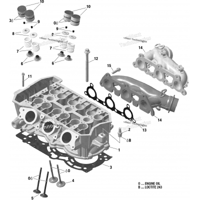 Engine - Cylinder Head And Exhaust Manifold - 900 Ace