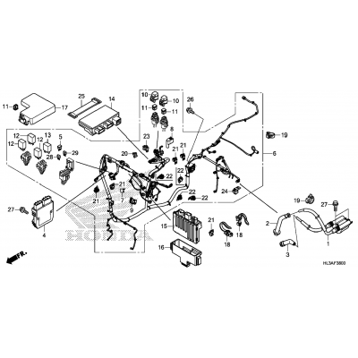 WIRE HARNESS