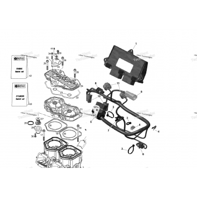 Engine Harness And Electronic Module