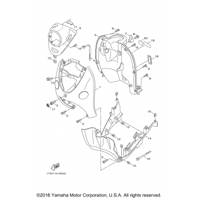 Leg Shield