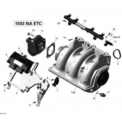 Air Intake Manifold And Throttle Body 1