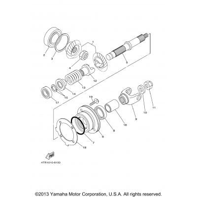 Middle Drive Gear