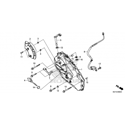 RIGHT CRANKCASE COVER (1)