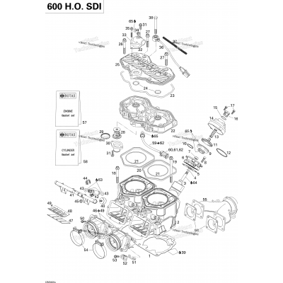 Cylinder, Exhaust Manifold, Reed Valve (600)