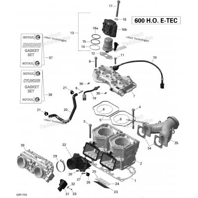 Engine - Cylinder And Injection System - 600Ho E-Tec