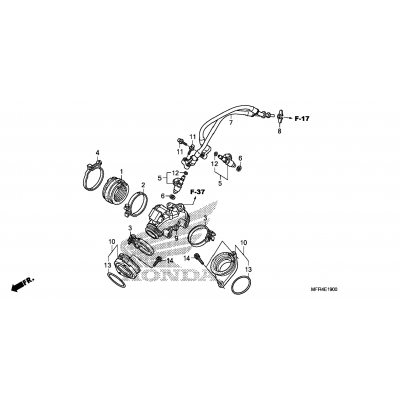 INTAKE MANIFOLD / INJECTOR