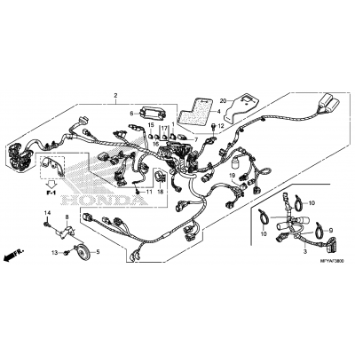 WIRE HARNESS / HORN