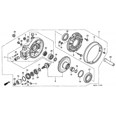 FINAL DRIVEN GEAR