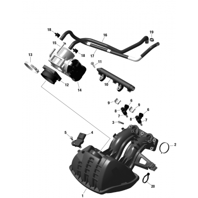 01- ROTAX - Air Intake Manifold And Throttle Body