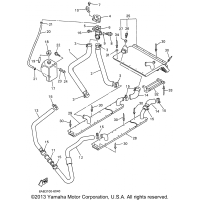 Radiator - Hose