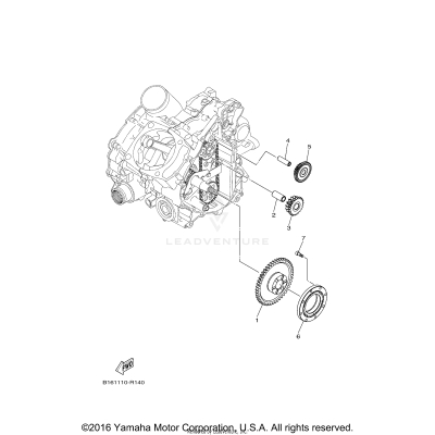 STARTER CLUTCH