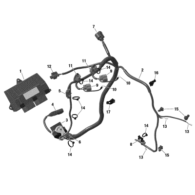 10- Electrical - Engine Harness / Electronic Module - 600 ACE