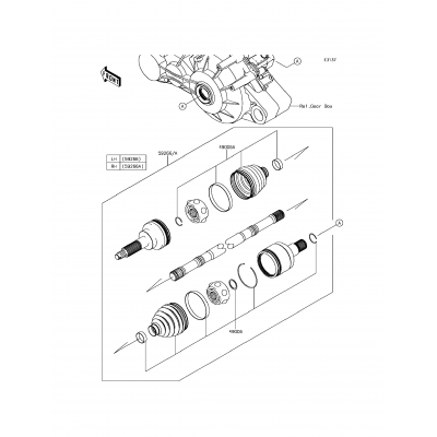 Drive Shaft-Rear