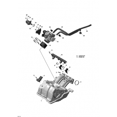 02- Air Intake Manifold And Throttle Body