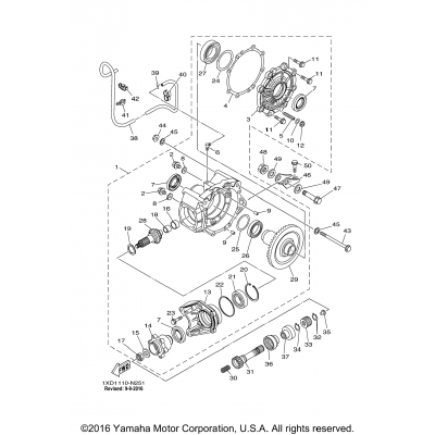 Drive Shaft