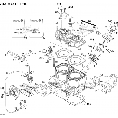 Cylinder, Exhaust Manifold And Reed Valve