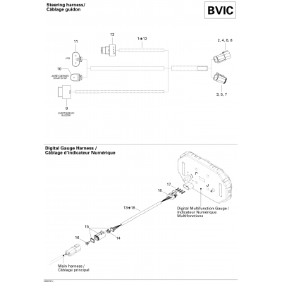 Electrical Harness BVIC 2