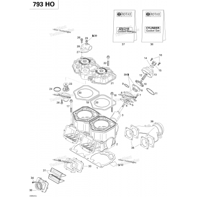 Cylinder, Exhaust Manifold, Reed Valve (793 Ho)