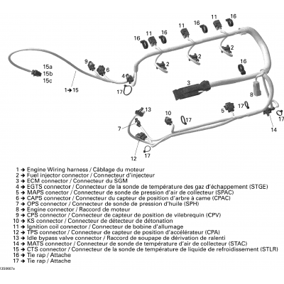 Engine Harness