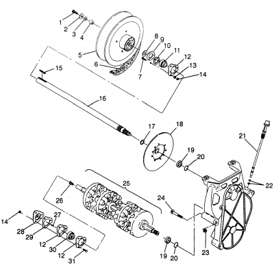 Drive Train Xlt Ltd Sp