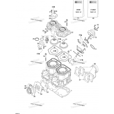 Cylinder And Exhaust Manifold