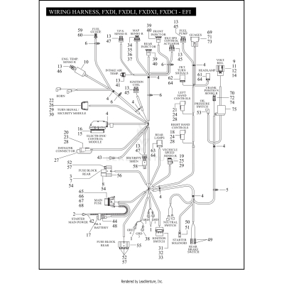 WIRING HARNESS, FXDI, FXDLI, FXDXI, FXDCI - EFI