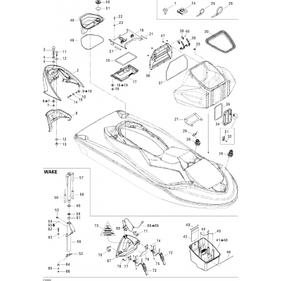 Body, Front View STD