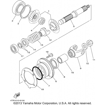 Middle Drive Gear