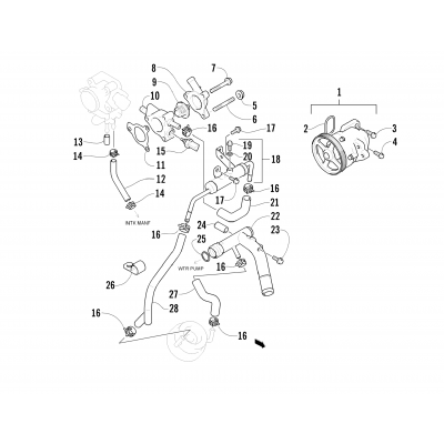 WATER PUMP AND THERMOSTAT ASSEMBLIES