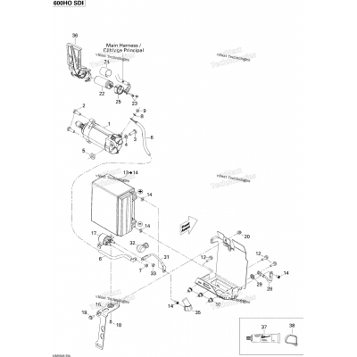 Battery And Starter 600Ho Sdi