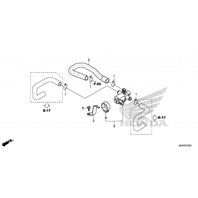 AIR INJECTION VALVE