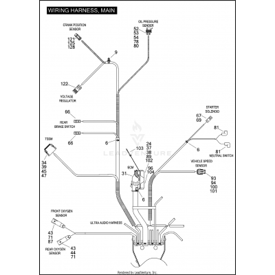 WIRING HARNESS, MAIN (5 OF 6)