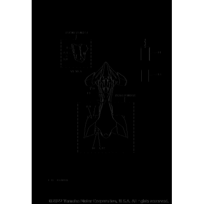 EMBLEM LABEL 1