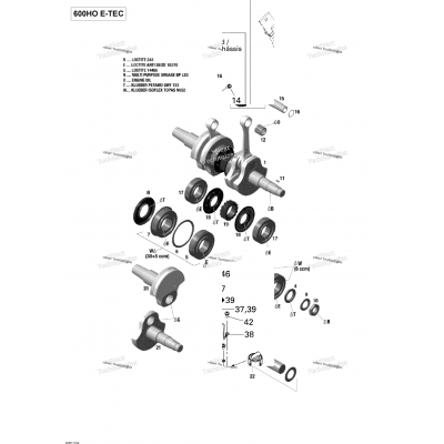 Crankshaft And Pistons - 600Ho E-Tec