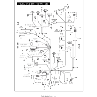 WIRING HARNESS, FXDWGI - EFI