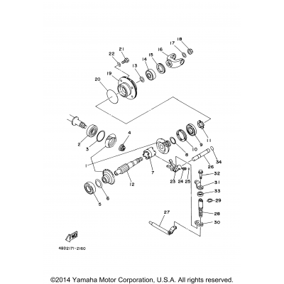 Middle Drive Gear