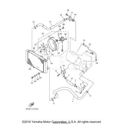 RADIATOR HOSE
