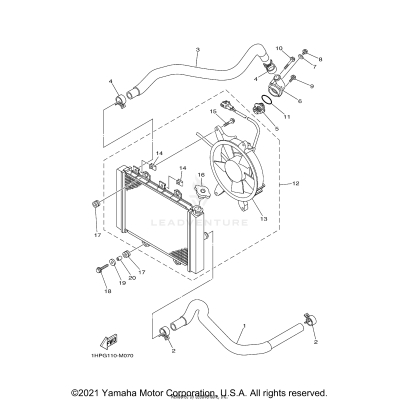 RADIATOR & HOSE