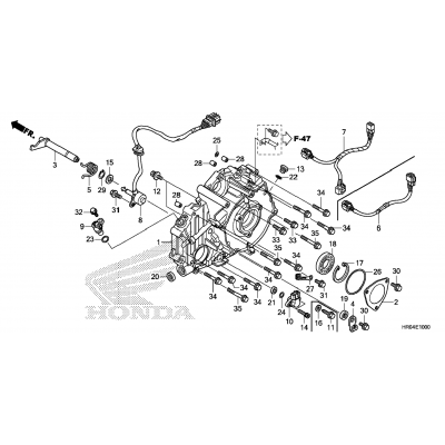 REAR CRANKCASE COVER