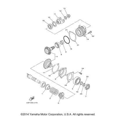 Middle Drive Gear