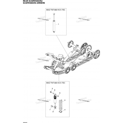 Rear Suspension Shocks