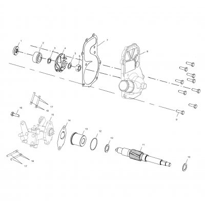 Water Pump/Oil Pump