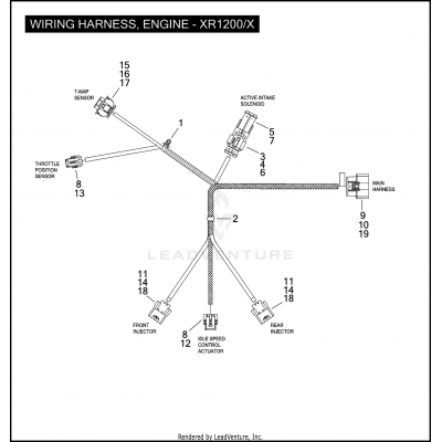 WIRING HARNESS, ENGINE - XR1200/X