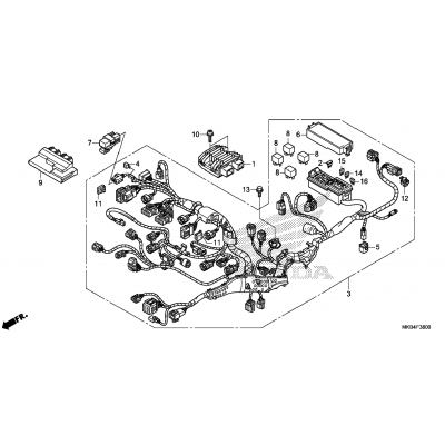 WIRE HARNESS (1)