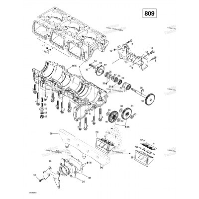 Crankcase, Reed Valve, Water Pump (809)