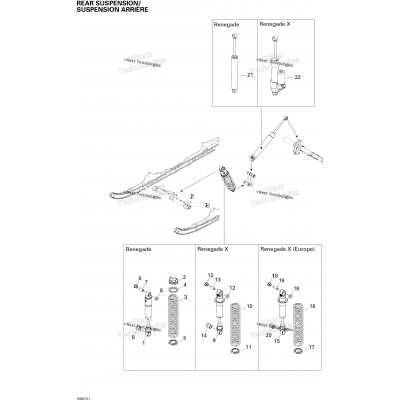 Rear Suspension Shocks