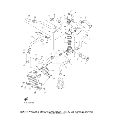 RADIATOR HOSE