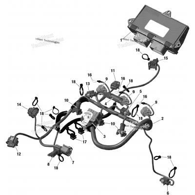 Electric - Engine Harness And Electronic Module