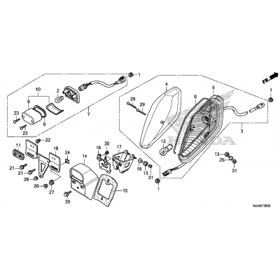 TAILLIGHT (1)