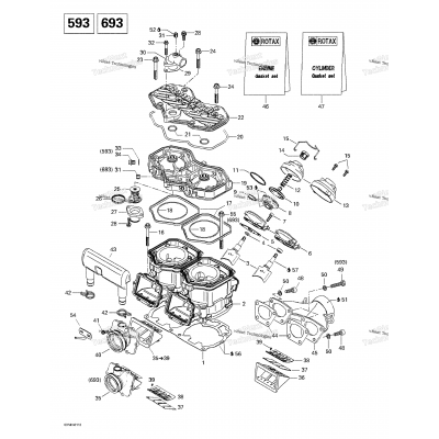 Cylinder, Exhaust Manifold, Reed Valve (593693)